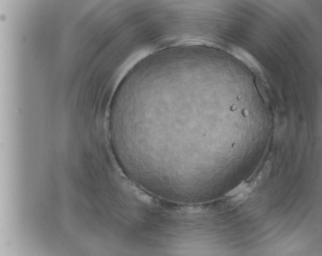 X0000063511190200601271803