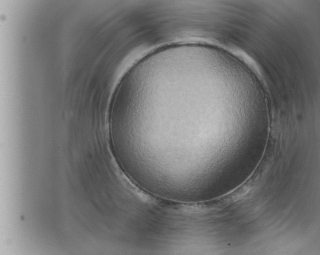 X0000063511191200601271803