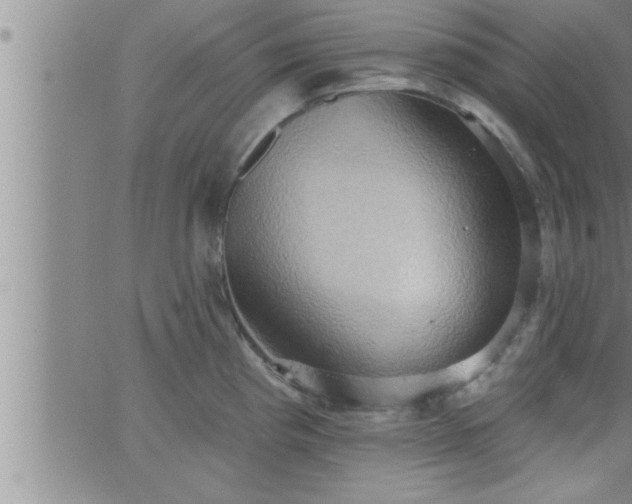 X0000063511193200601271803