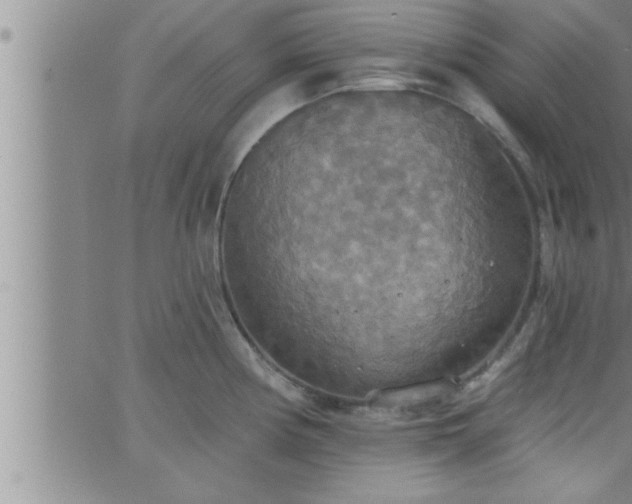 X0000063511194200601271803