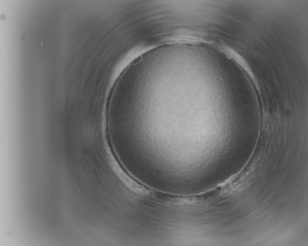 X0000063511195200601271803