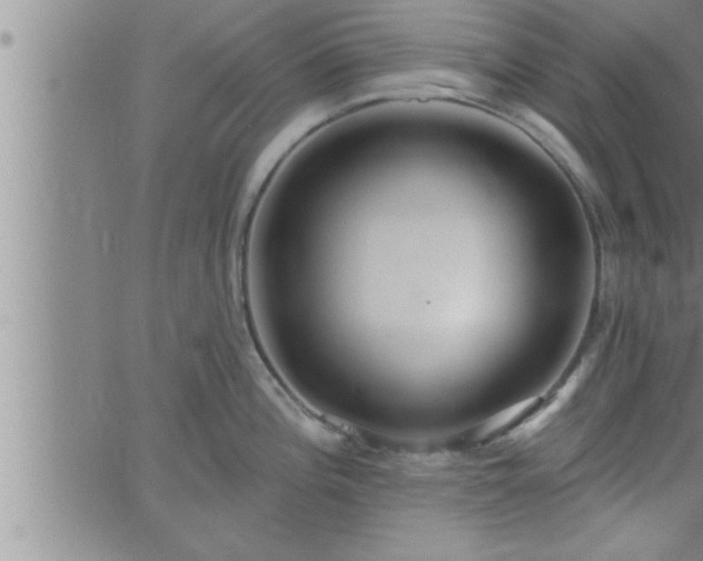 X0000063511196200601271803