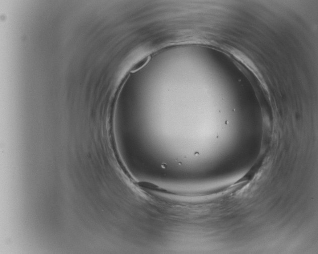 X0000063511197200601271803