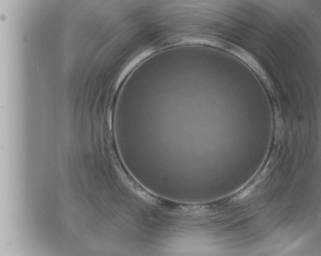 X0000063511198200601271803