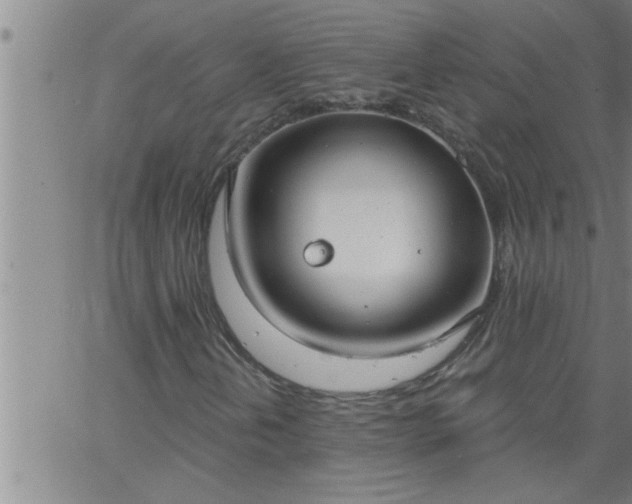 X0000063511202200601271802