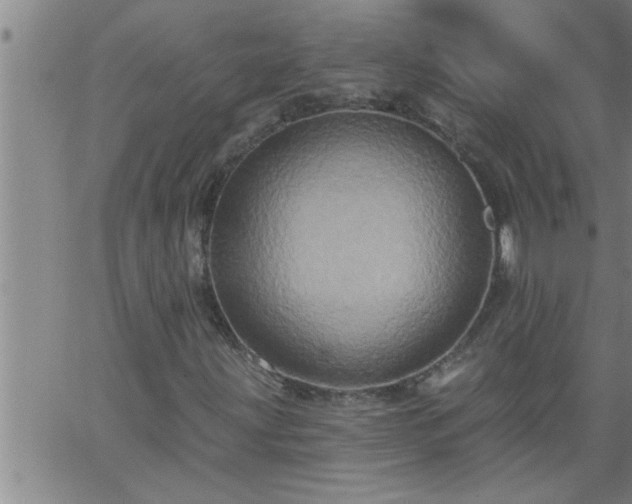 X0000063511203200601271802