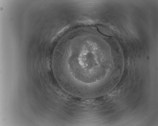 X0000063511205200601271802