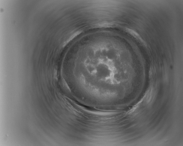 X0000063511209200601271802