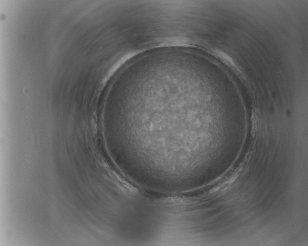 X0000063511212200601271802