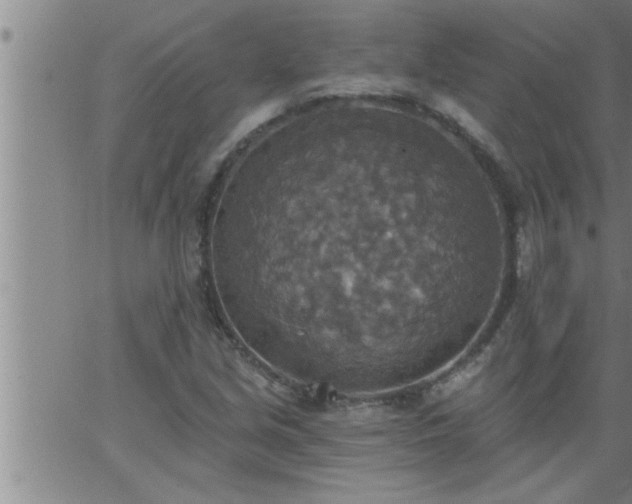 X0000063511213200601271802