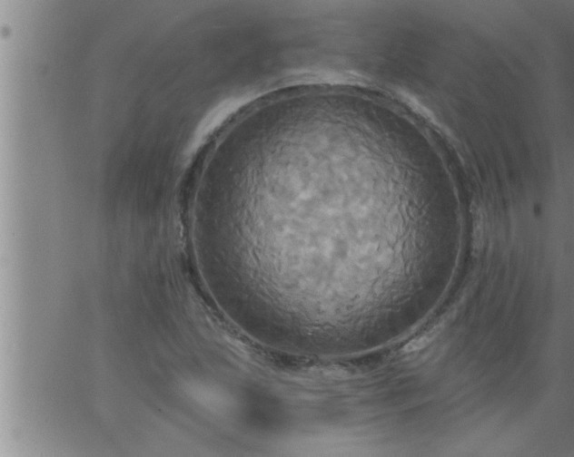 X0000063511215200601271802