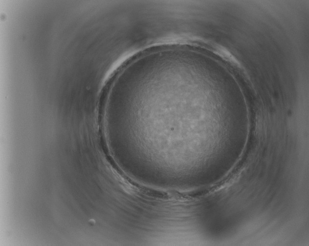 X0000063511216200601271802