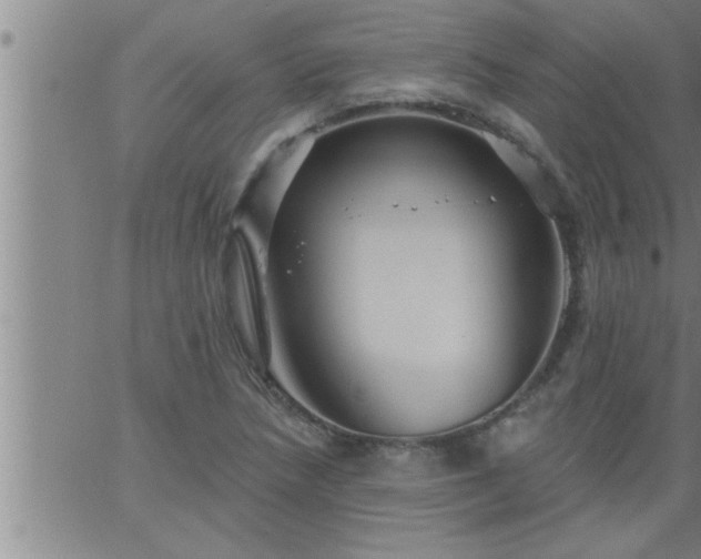 X0000063511218200601271802