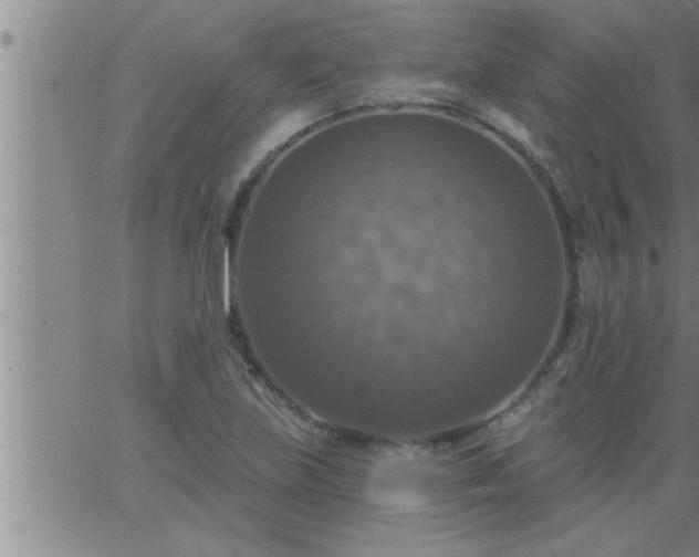 X0000063511219200601271802