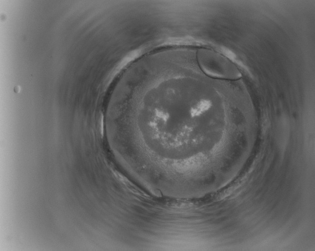 X0000063511221200601271802