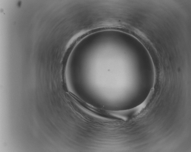 X0000063511222200601271802