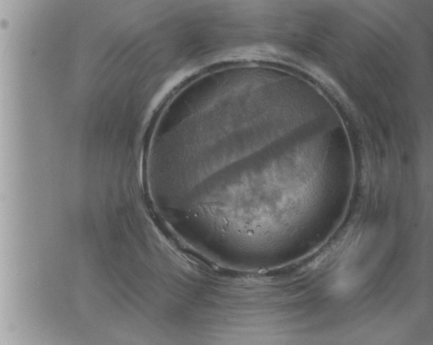 X0000063511224200601271802