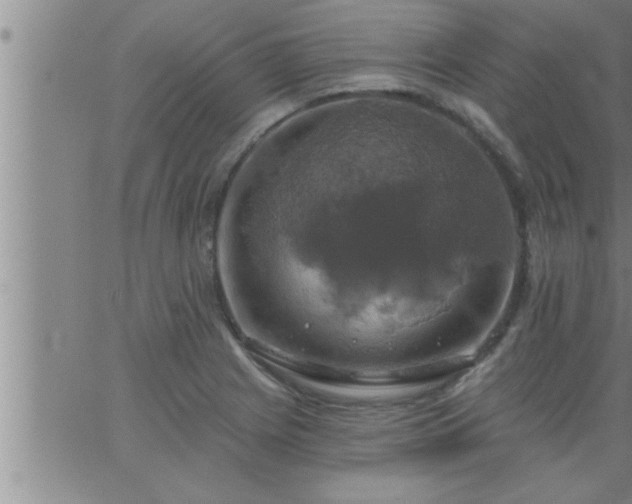 X0000063511225200601271802