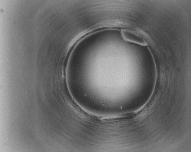 X0000063511226200601271802