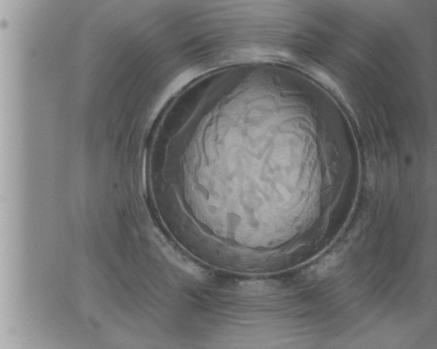 X0000063511227200601271802