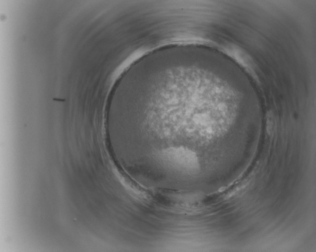 X0000063511229200601271802