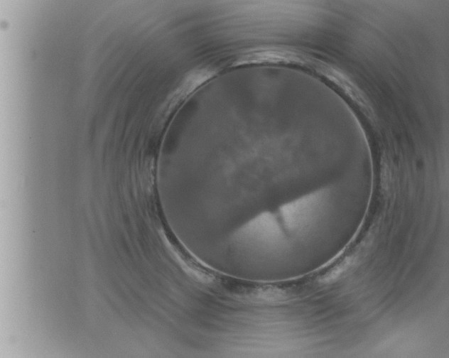 X0000063511233200601271802