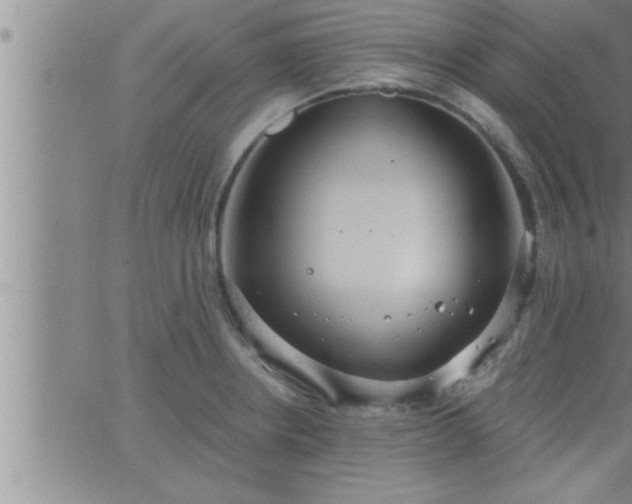 X0000063511234200601271802