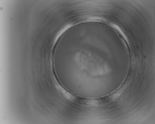 X0000063511235200601271802