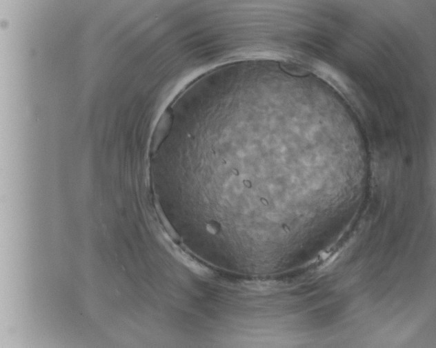 X0000063511236200601271802