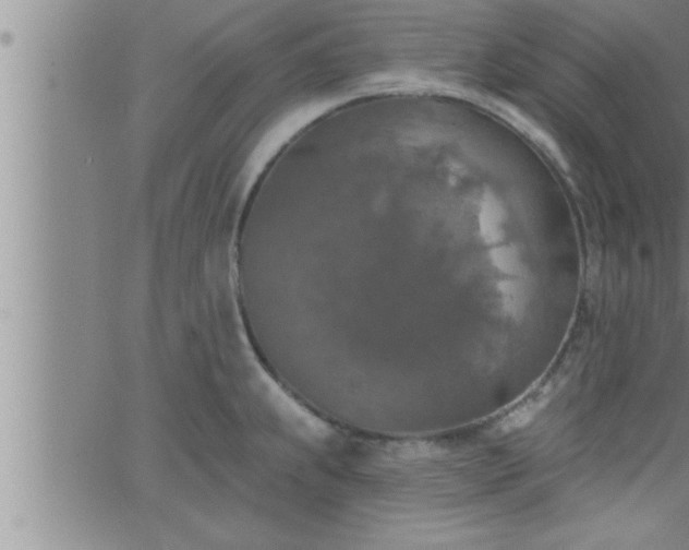 X0000063511239200601271802