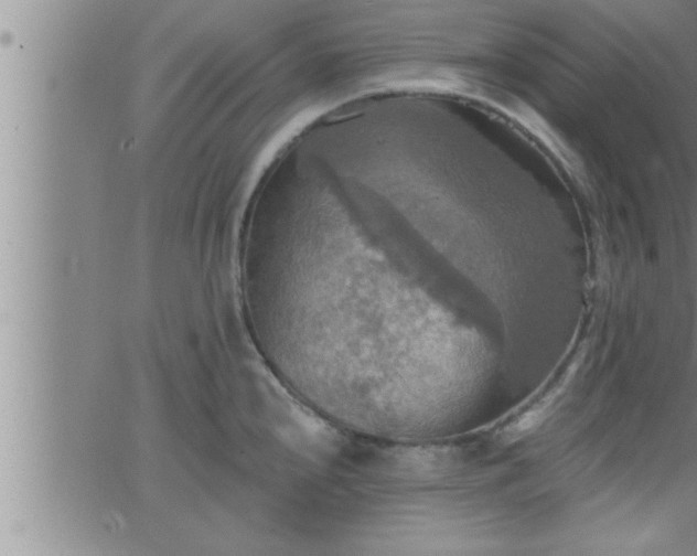 X0000063511240200601271802