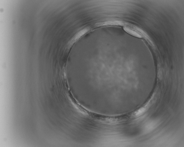 X0000063511241200601271802