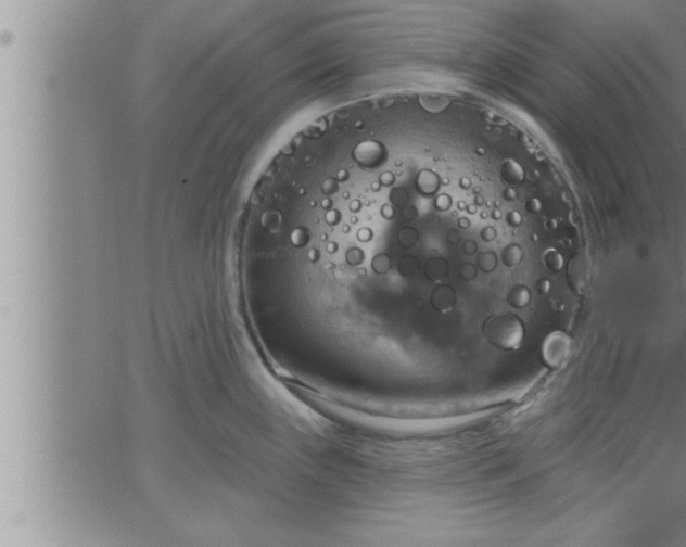 X0000063511243200601271802