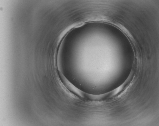 X0000063511246200601271803