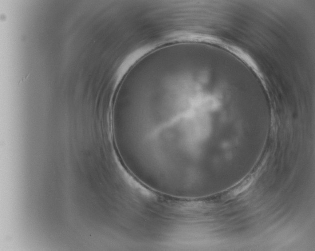 X0000063511247200601271803