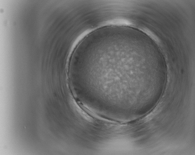 X0000063511248200601271803