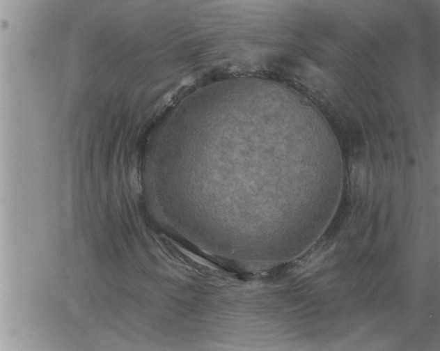 X0000063511250200601271802