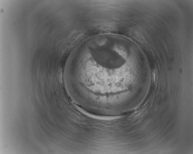 X0000063511251200601271802