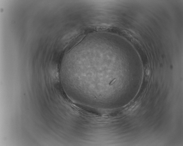 X0000063511252200601271802