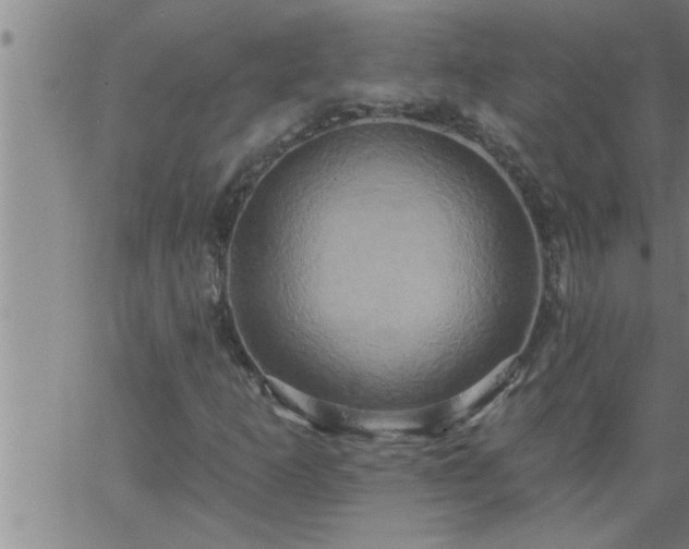 X0000063511253200601271802