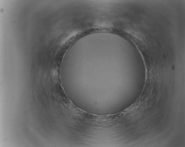 X0000063511254200601271802