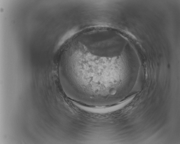 X0000063511255200601271802