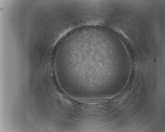 X0000063511256200601271802