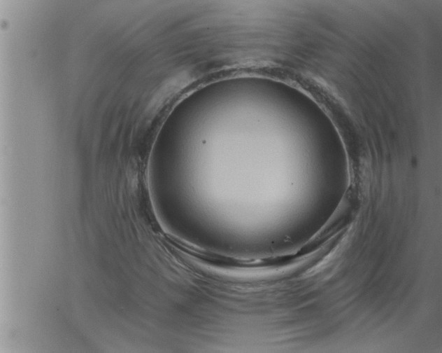 X0000063511257200601271802