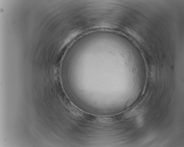 X0000063511258200601271802