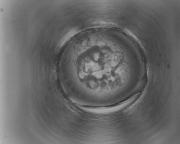 X0000063511259200601271802