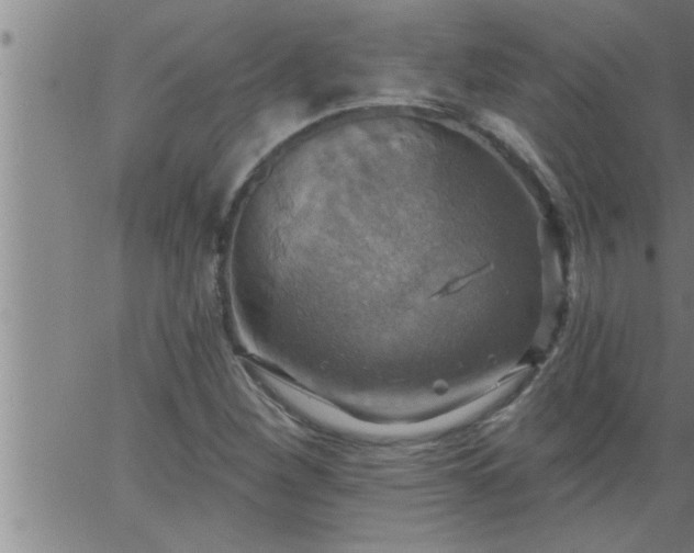 X0000063511260200601271802