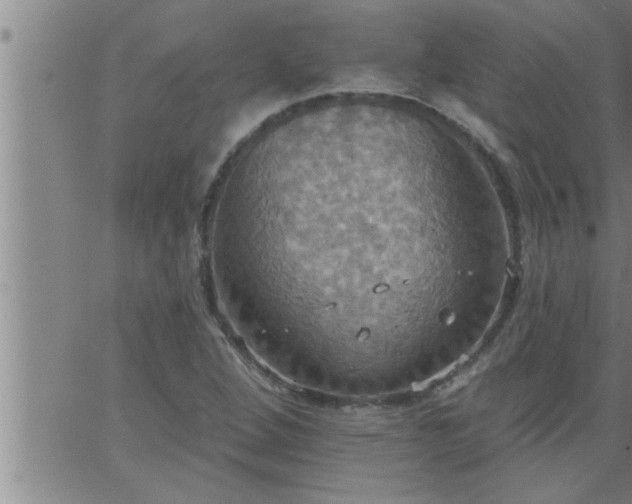 X0000063511264200601271802