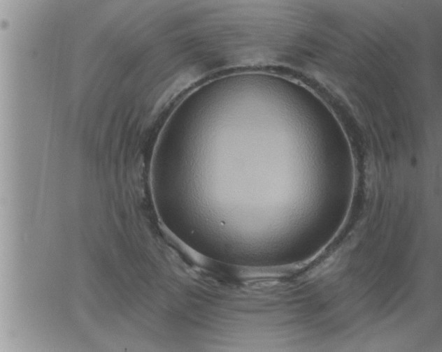 X0000063511265200601271802