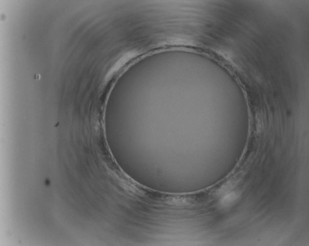 X0000063511266200601271802